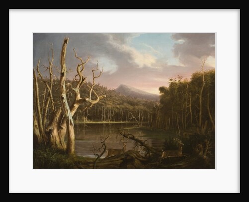 Lake with Dead Trees by Thomas Cole