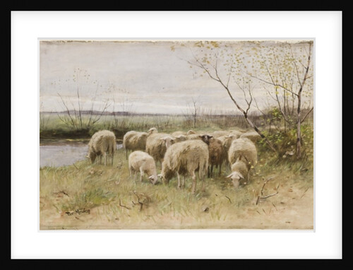 Sheep by Francois Pieter ter Meulen