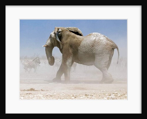 Bull Elephant, Etosha, 2018 by Eric Meyer