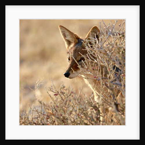 I Can See You, 2017 by Eric Meyer