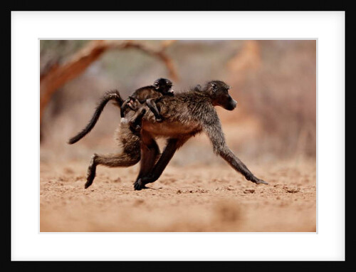 Hitching a ride, 2019 by Anonymous