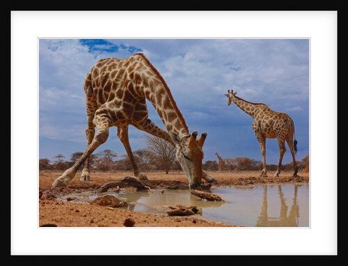 Getting Down, 2019 by Eric Meyer