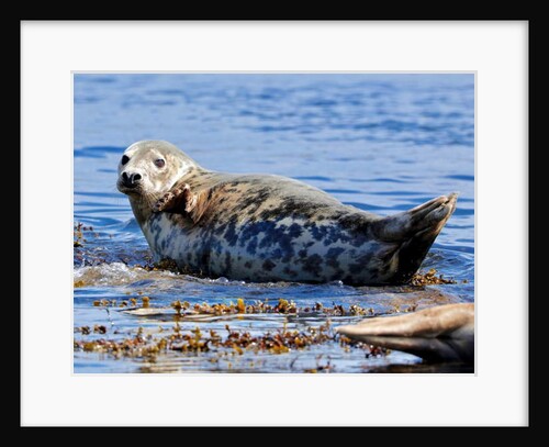 Grey ?, 2019 by Eric Meyer