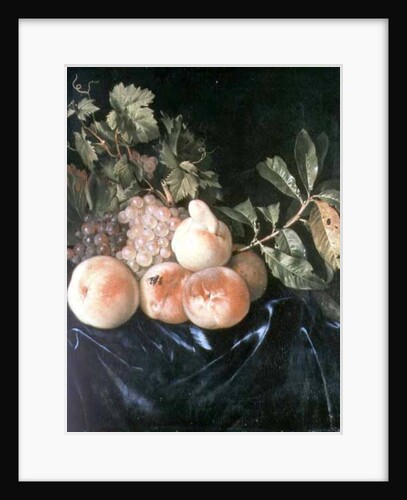 Still Life with Peaches and Grapes by Willem Frederik van Royen