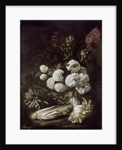 Still Life of Flowers and Vegetables, 17th century by Giovanni-Battista Ruoppolo or Ruopolo
