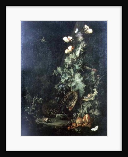 Still Life with a Snake by Elias van den Broeck