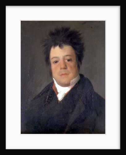 Portrait of Andriano Ribera Neves, 19th century by Domingos Antonio de Sequeira
