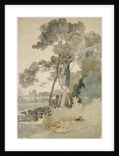 Near Brandsby, Yorkshire, 1865 by John Sell Cotman