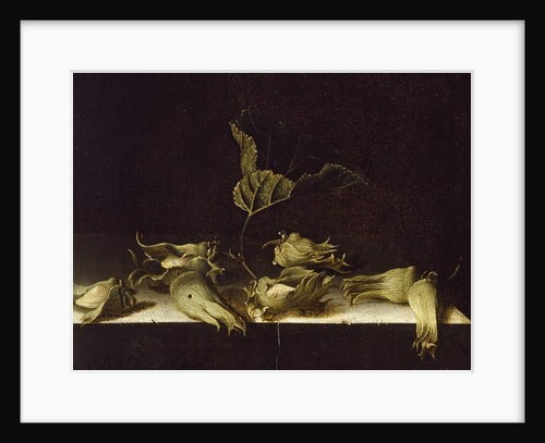 Still Life with Hazel-nuts, 1696 by Adrian Coorte