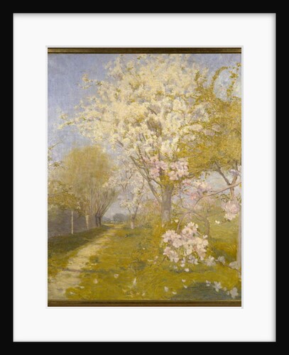 Apple Blossom at Dennemont, 1893 by Charles Edward Conder
