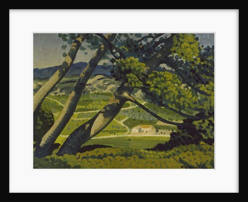 Trees, Provence, 1912 by Derwent Lees