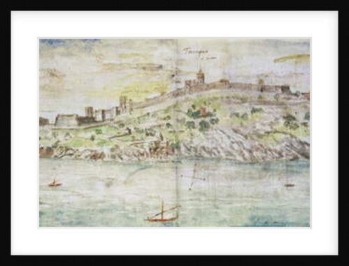 Panoramic View of Tarragona, Spain by Anthonis van den Wyngaerde