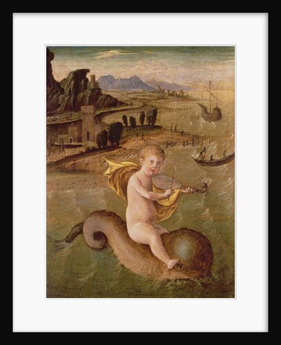 Arion Riding on the Dolphin by Francesco Bianchi Ferrari