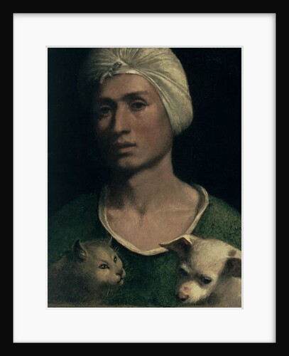 Portrait of a Young Man With a Dog and a Cat by Dosso Dossi