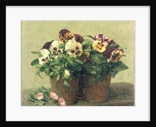 Still Life of Pansies and Daisies, 1889 by Ignace Henri Jean Fantin-Latour