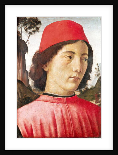 Portrait of a Young Man, 15th century by Domenico Ghirlandaio