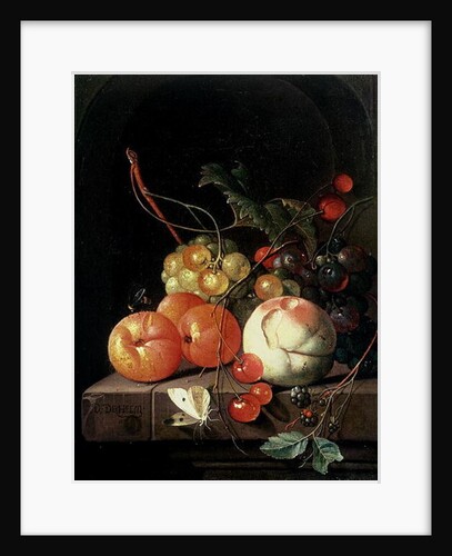 Still Life of Fruit, 17th century by David de II Heem