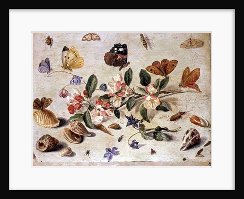 A Study of Flowers and Insects by Jan van the Elder Kessel