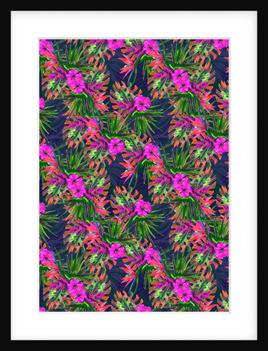 Amazilia, 2018 by Tara Whitehead