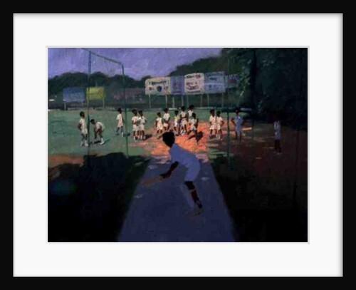 Cricket, Sri Lanka, 2001 by Andrew Macara