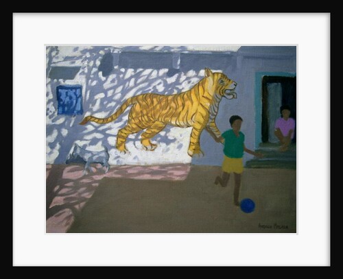 Tiger, India by Andrew Macara