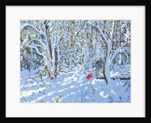 Red sledge, Allestree Park, Derby, 2022 by Andrew Macara