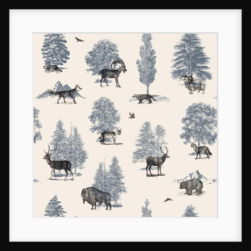 Where they Belong - Winter, 2018 by Florent Bodart