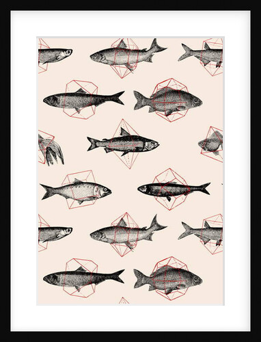 Fishes in Geometrics, 2016 by Florent Bodart