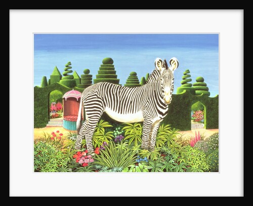 Zebra in a Garden, 1977 by Anthony Southcombe