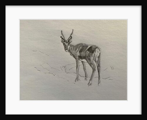 Reindeer, 2019 by Barbara Hoogeweegen