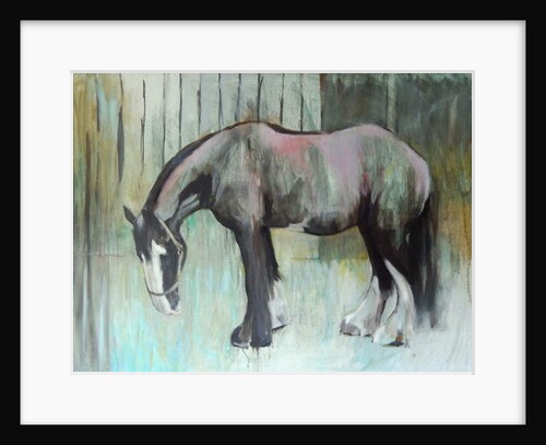 Morpheus in January, 2013 by Sheri Gee