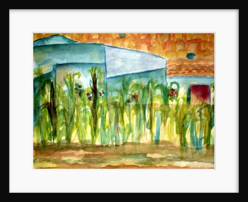 Maiz, 1980 by Deborah Eve Alastra