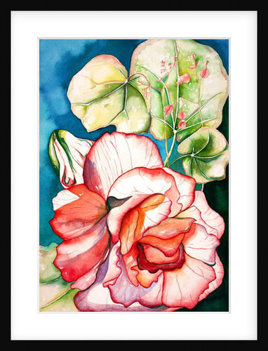 Begonia, 2006 by Deborah Eve Alastra