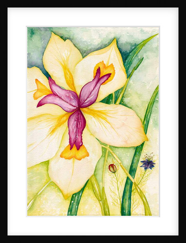 Lily and Friends, 2007 by Deborah Eve Alastra