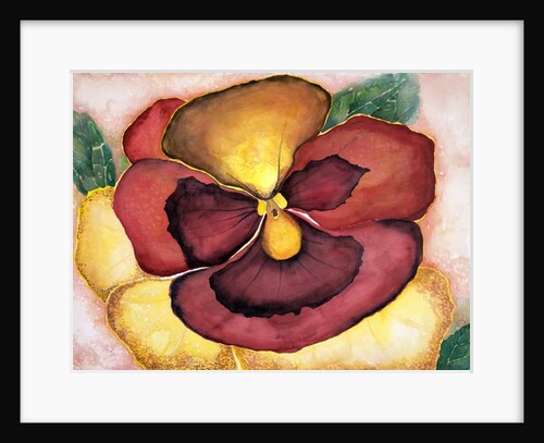 Pansey, 2007 by Deborah Eve Alastra