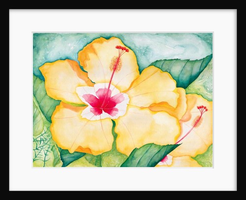 Yellow Hibiscus, 2006 by Deborah Eve Alastra