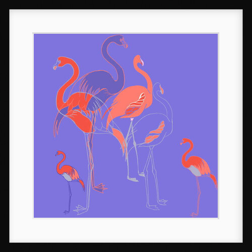Flamingoes by Anna Platts