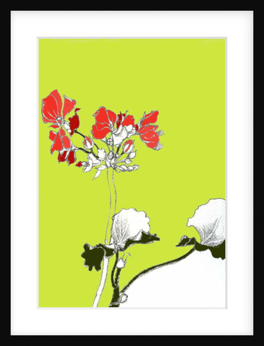Geranium by Anna Platts