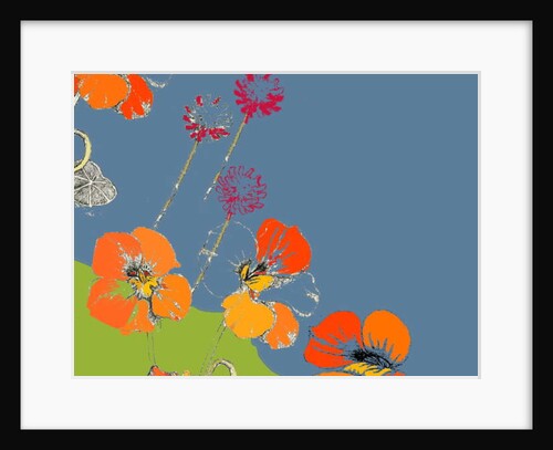 Nasturtium by Anna Platts