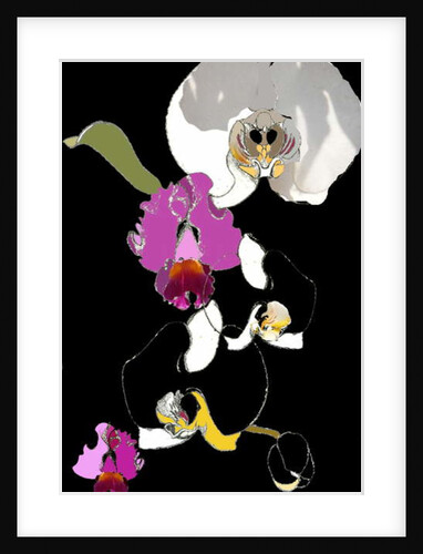 Orchid by Anna Platts