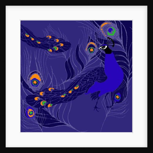 Peacock by Anna Platts