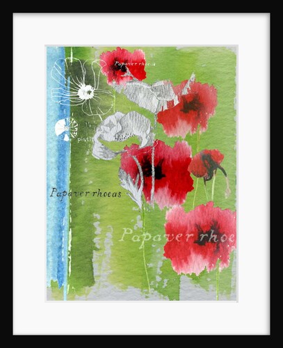 Poppy by Anna Platts