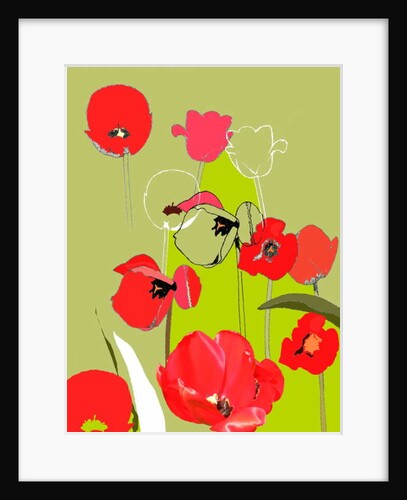 Tulip by Anna Platts