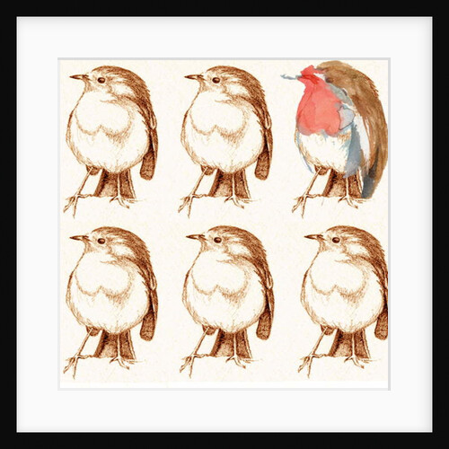 Robin by Anna Platts