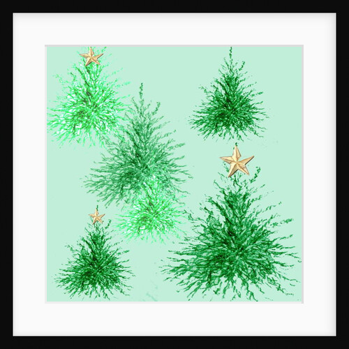 Star Trees by Anna Platts