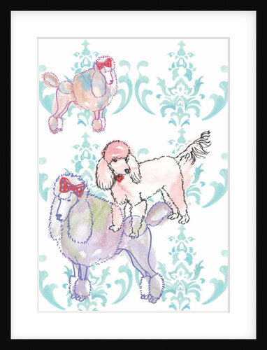 Poodles, 2013 by Anna Platts