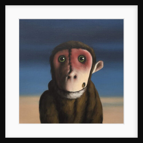 Fergus Monkey, 2017 by Peter Jones