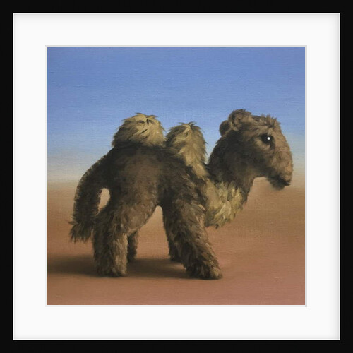 Camel, 2017 by Peter Jones