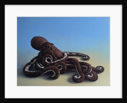 Octopus, 2016 by Peter Jones
