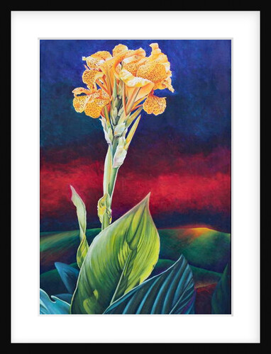 Yellow Canna Lily, 1991 by Frances Ferdinands